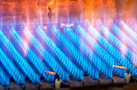Nynehead gas fired boilers